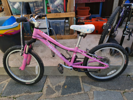 specialized hotrock 20 age range